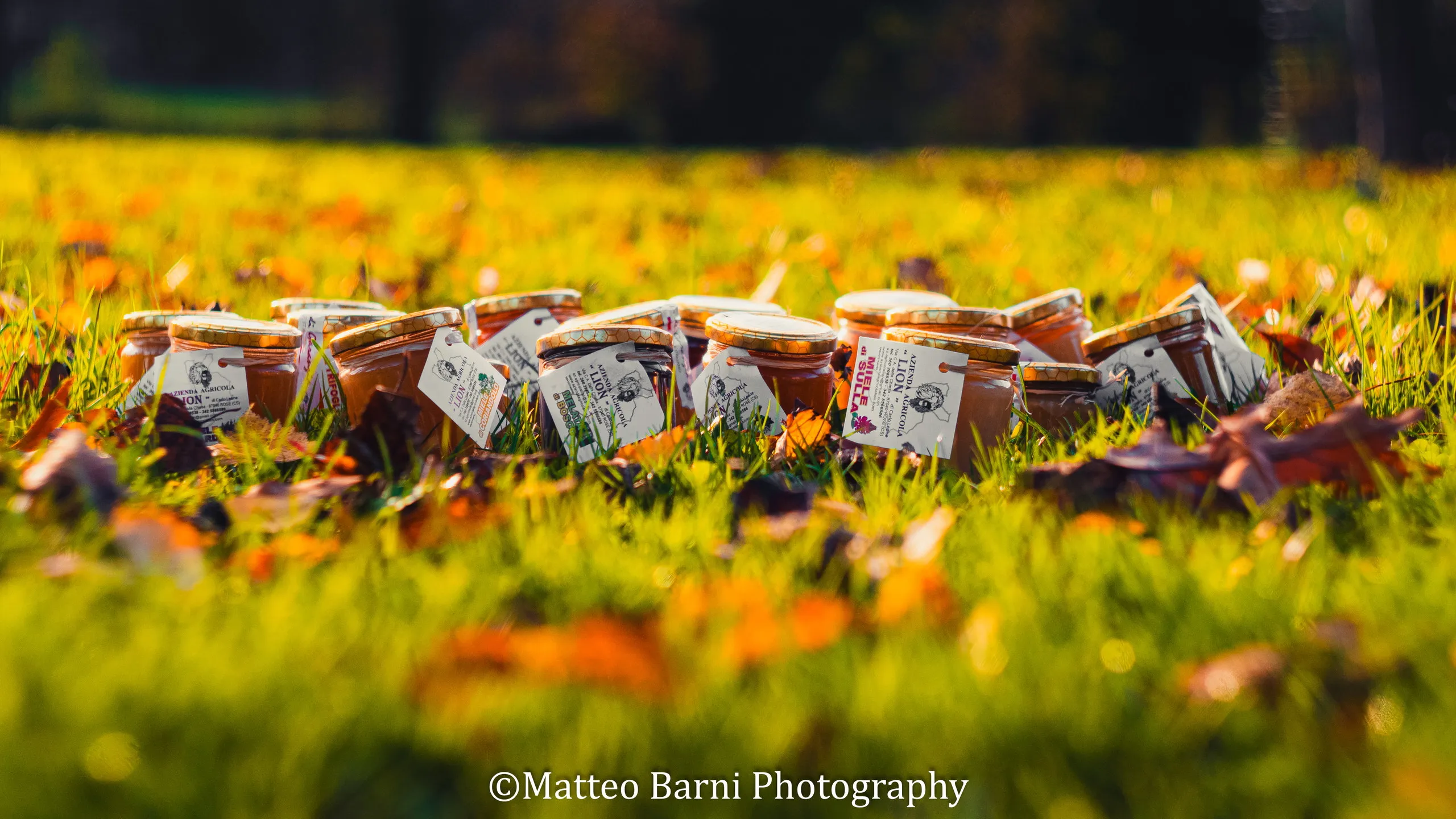Una fila di vasetti di miele con il cartellino nell'erba, tra le foglie cadute d'autunno